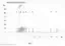 Fig. 02 - A novel technology for the purity assay of TRODAT-1 raw material