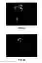 Fig. 06 - Stable, water-soluble quantum dot, method of preparation and conjugates thereof