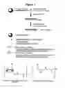 Fig. 02 - RNA interference mediated inhibition of gene expression using short interfering nucleic acid (siNA)