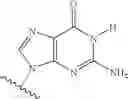 Fig. 06 - 2′-C-methyl nucleoside derivatives