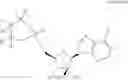 Fig. 43 - 2′-C-methyl nucleoside derivatives