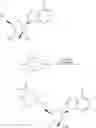 Fig. 63 - 2′-C-methyl nucleoside derivatives