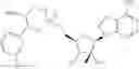 Fig. 97 - 2′-C-methyl nucleoside derivatives