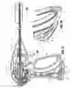 Fig. 20 - Vessel sealer and divider for use with small trocars and cannulas
