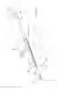 Fig. 11 - DELIVERY CATHETER