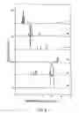 Fig. 07 - Electrophoretic analysis method
