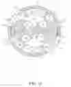 Fig. 03 - Rotary piston power system
