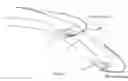 Fig. 02 - Aircraft wing slat
