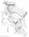 Fig. 09 - Extensible restraint strap for an occupant-restraint system in a vehicle