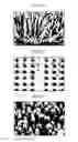 Fig. 07 - Flat panel display device and manufacturing method thereof