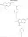 Fig. 17 - Polarizing, photochromic devices and methods of making the same