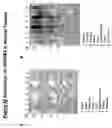 Fig. 366 - Methods of inducing an immune response