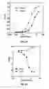 Fig. 04 - Method for the treatment of fibrosis