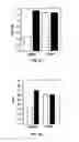 Fig. 09 - Method for the treatment of fibrosis