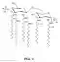 Fig. 02 - Non-toxic mutants of pathogenic gram-negative bacteria