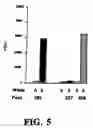 Fig. 07 - Non-toxic mutants of pathogenic gram-negative bacteria