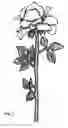 Fig. 02 - Artificial floral assembly with illumination