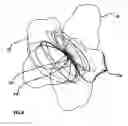 Fig. 09 - Artificial floral assembly with illumination