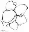 Fig. 14 - Artificial floral assembly with illumination