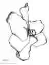 Fig. 22 - Artificial floral assembly with illumination