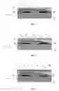 Fig. 02 - Lithium microbattery provided with a protective envelope, and method for producing one such microbattery