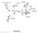Fig. 02 - Method of identifying a chemical entity which is a hydroxylase modulator