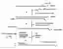 Fig. 01 - Methods and kits for sense RNA synthesis