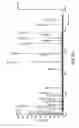 Fig. 09 - Mass tags for quantitative analyses