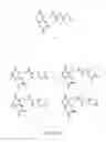Fig. 33 - Mass tags for quantitative analyses