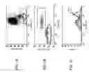 Fig. 02 - Method and kit for detection of autoimmune chronic urticaria