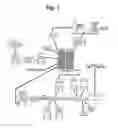 Fig. 02 - Closed system bioreactor apparatus