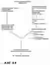 Fig. 33 - Carcinoembryonic antigen (CEA) peptides