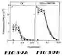 Fig. 41 - Carcinoembryonic antigen (CEA) peptides