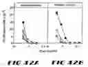 Fig. 44 - Carcinoembryonic antigen (CEA) peptides