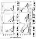 Fig. 46 - Carcinoembryonic antigen (CEA) peptides