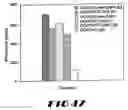 Fig. 49 - Carcinoembryonic antigen (CEA) peptides