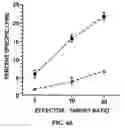 Fig. 65 - Carcinoembryonic antigen (CEA) peptides