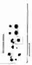 Fig. 02 - Method for acceleration of stem cell differentiation