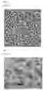 Fig. 02 - Three dimensional scaffold and method of fabricating the same