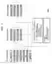 Fig. 08 - Polishing method and polishing apparatus