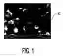 Fig. 02 - Nanocomposite ceramics and process for making the same