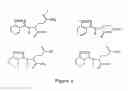Fig. 06 - Methods and compositions for inhibition of angiogenesis