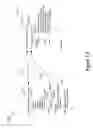 Fig. 16 - Broadcast with private reply control in a real-time messaging system