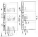 Fig. 07 - Integrated spreadsheet expanding table with collapsable columns