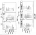 Fig. 08 - Integrated spreadsheet expanding table with collapsable columns