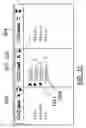 Fig. 09 - Integrated spreadsheet expanding table with collapsable columns