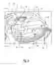 Fig. 09 - Multifeature foot spa