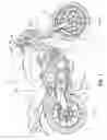 Fig. 02 - Brake system for vehicle
