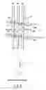 Fig. 09 - Paper sheet positioning apparatus