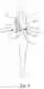 Fig. 07 - Back and lumbar support apparatus and system